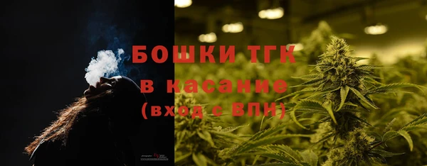 ECSTASY Вяземский