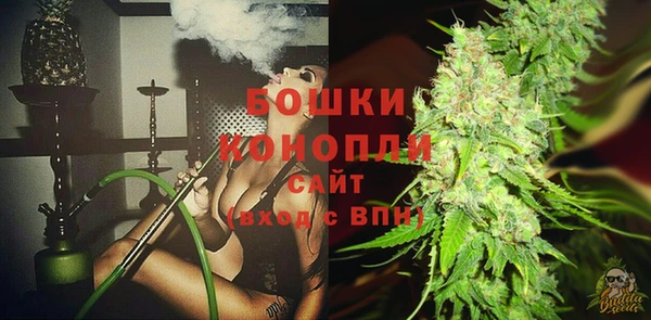 ECSTASY Вяземский
