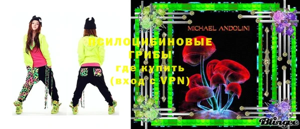 ECSTASY Вяземский
